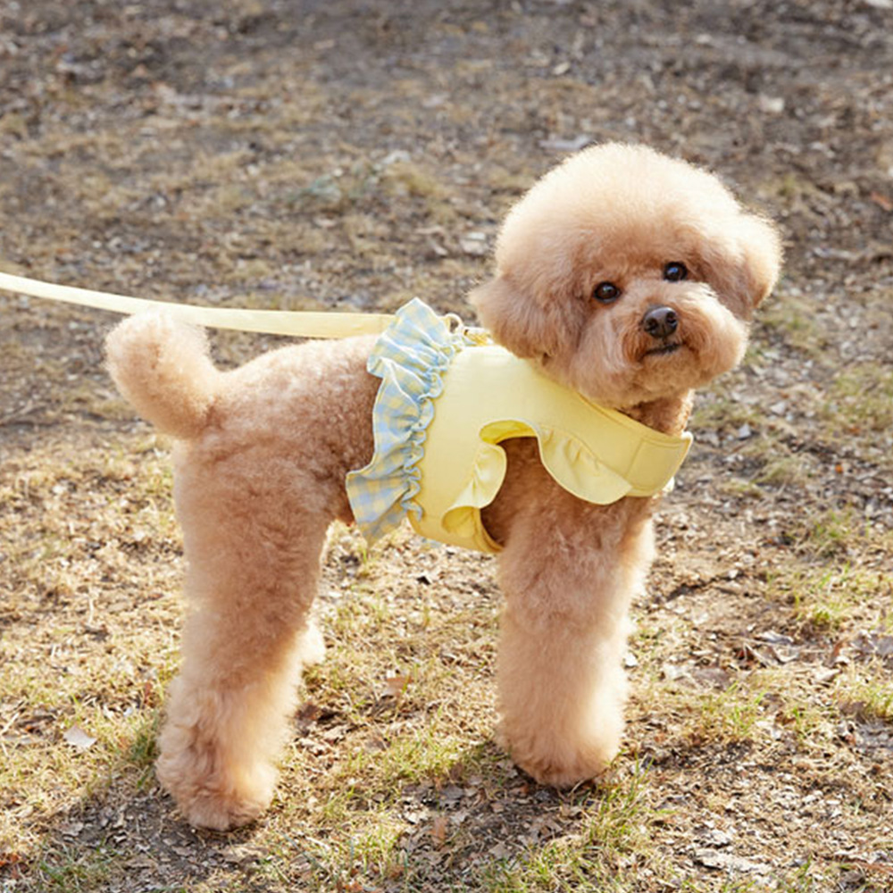 สายจูงสุนัขแบบมีสีตัดกัน เสื้อ - Lace Teddy Lingerie บทวิจารณ์และราคา