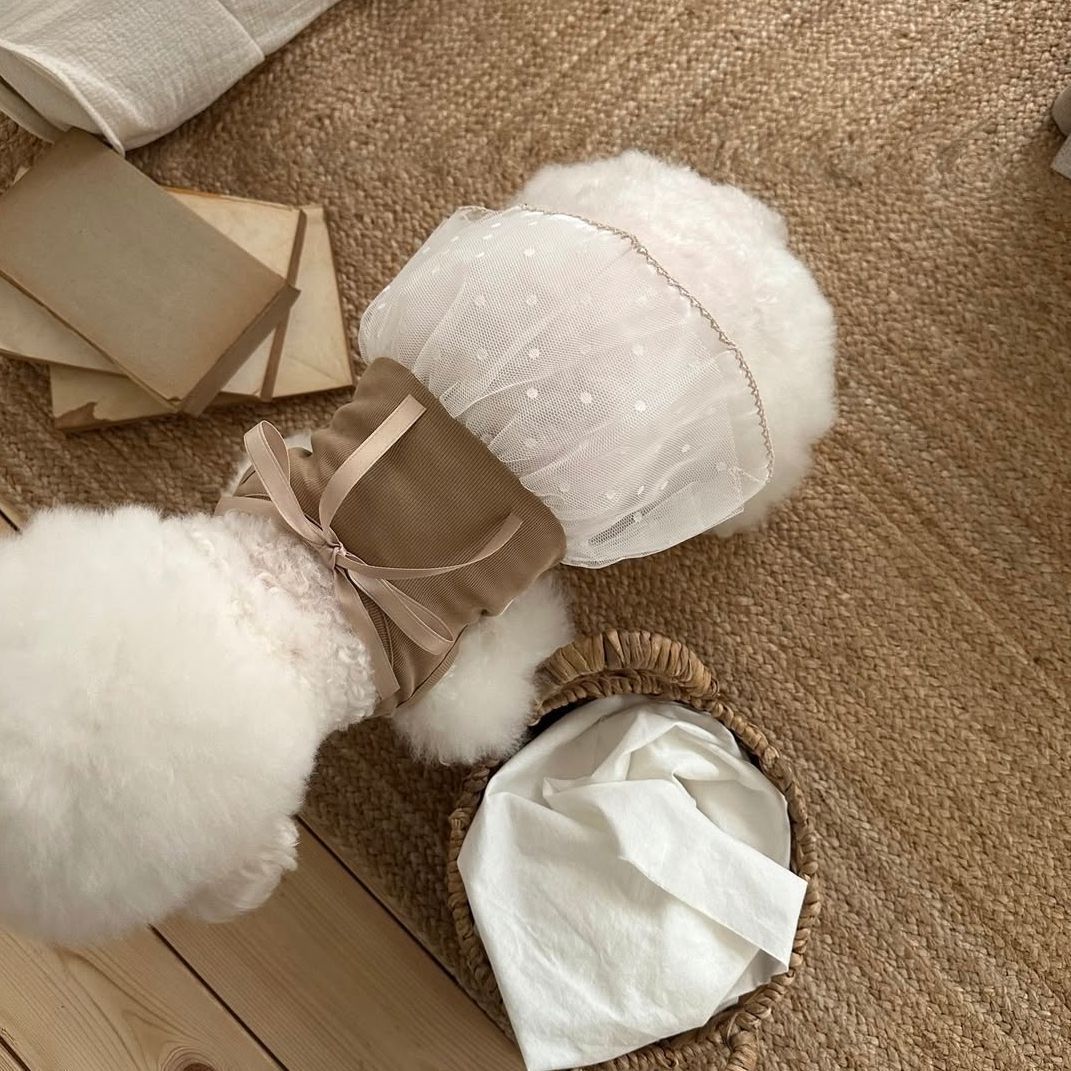 ชุดเดรสสายเดี่ยวลูกไม้สำหรับสั - Lace Teddy Lingerie บทวิจารณ์และราคา