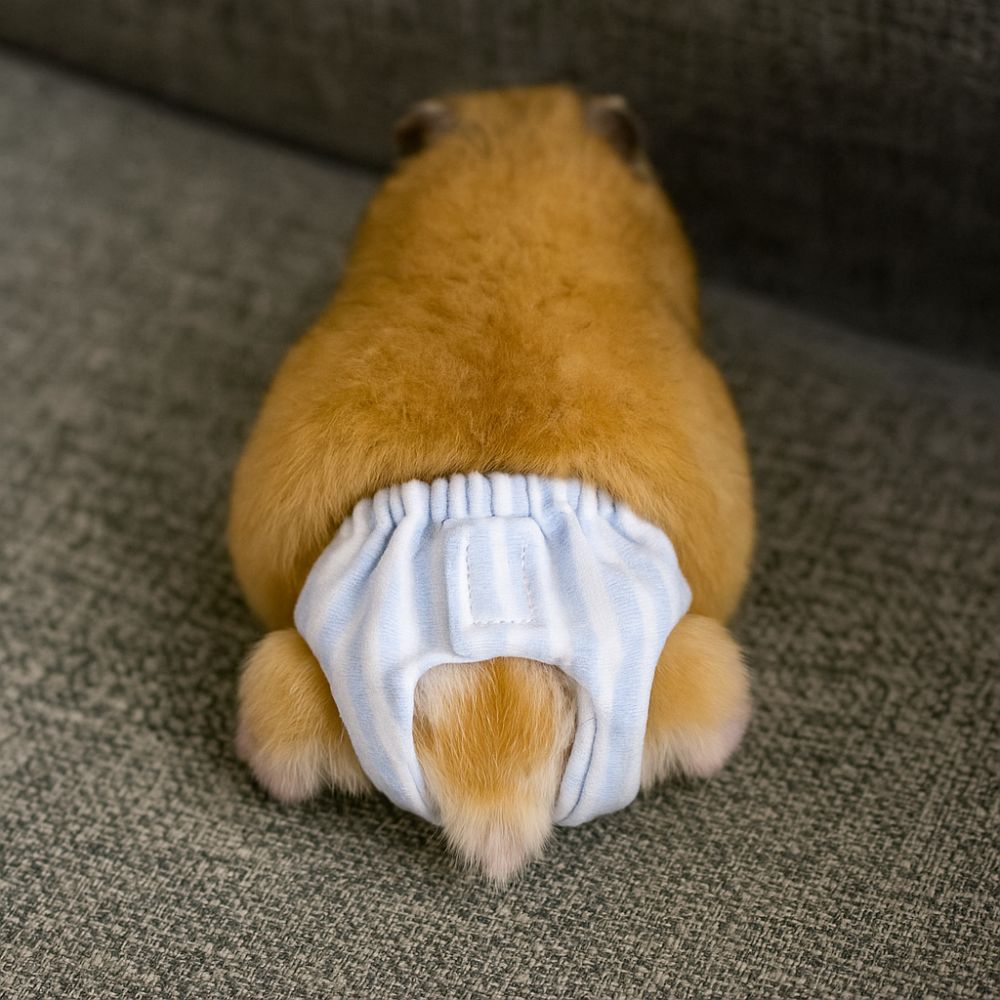 ผ้าอ้อมกระต่ายแบบซึมซับ ป้องกั - Period Panty Absorbent บทวิจารณ์และราคา